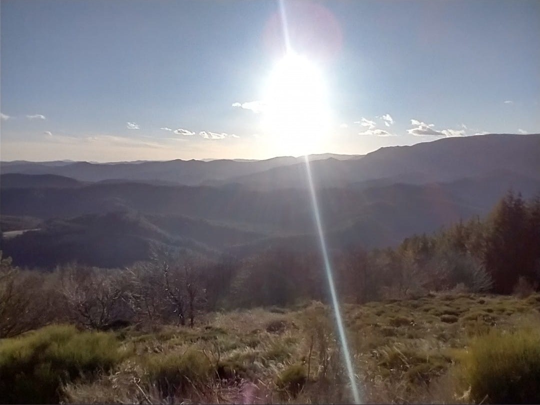 Jonathan Loyal pictures